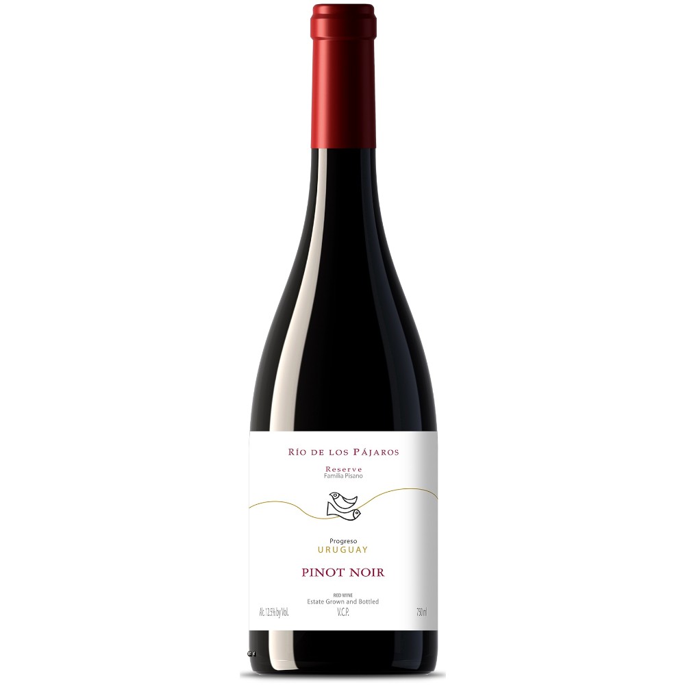 PISANO RIO DE LOS PAJAROS PINOT NOIR